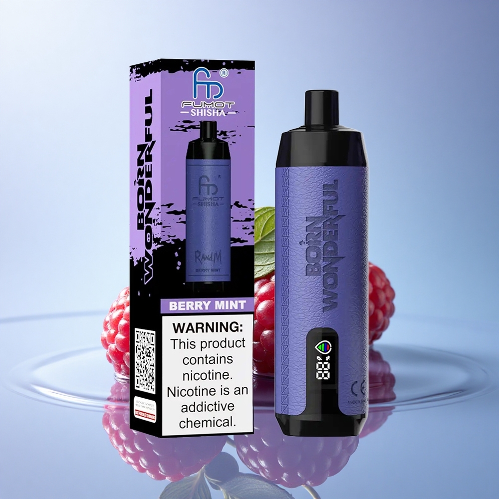 RandM Fumot Shisha 10000 Puffs Jagoda Meta z 0,6 ohms in 0,5% nikotina